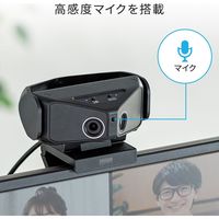サンワサプライ 会議用カメラ CMS-V60BK 1個
