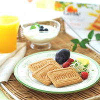 Gerble（ジェルブレ）　アップル＆ヘーゼルナッツビスケット　1セット(（4枚×4袋入)×12箱）　大塚製薬　栄養補助食品