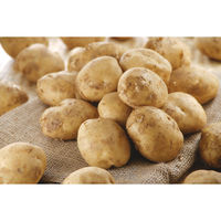 湖池屋 カラムーチョチップス ホットチリ味　3袋　スナック菓子