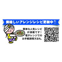 即席袋めん　ケンミン　焼ビーフン　スパイス香る幻のカレー　58g　1セット（10個）　ケンミン食品