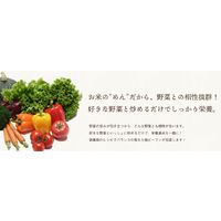 即席袋めん ケンミン 焼ビーフン 鶏だし醤油 65g 1セット（10個） ケンミン食品