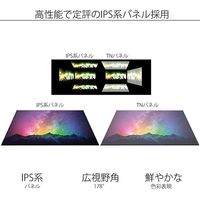 【アウトレット】JAPANNEXT モバイルモニター 10.1インチ WUXGA JN-MD-IPS1010HDR【終売品】