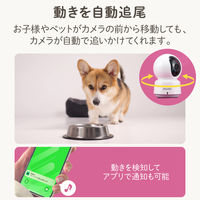 卓上見守りカメラ WiーFi接続 フルHD 自動追尾 双方向通話対応 WECAA1 1個