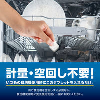 フィニッシュ 食洗機庫内強力洗浄タブレット 1セット（1パック（3個入）×3） 食洗機用洗剤 レキットベンキーザー
