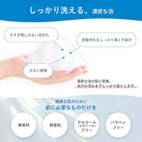 肌ラボ 極潤 ヒアルロン泡洗顔 本体＋詰替お得セット(肌ラボ 極潤 ヒアルロン泡洗顔 160mL　1個＋詰替 140mL×2個)ロート製薬