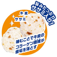 ペティオ 素材そのまま 天然牛皮とササミの歯みがきガム チップス 75g 1袋 犬用 おやつ