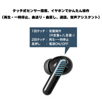 グリーンハウス 完全ワイヤレスステレオイヤホン ノイズキャンセル ブラック GH-TWSW-BK 1個