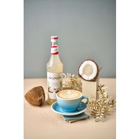 業務用 割り材 モナン ココナッツ・シロップ 700ml 1本 MONIN 割材 ドリンクベース フレーバーシロップ