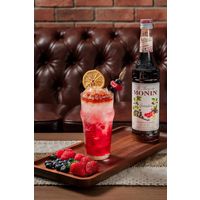 業務用 割り材 モナン グレナディン・シロップ 700ml 1本 MONIN 割材 ドリンクベース フレーバーシロップ