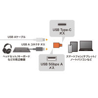 サンワサプライ USB5Gbps TypeーC変換アダプタ(AtoC・樹脂コネクタ) AD-USB32CAF 1個