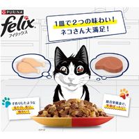 フィリックス ダブルのおいしさ お魚とお肉のミックスセレクション（50g×12袋）1箱 ネスレ日本 キャットフード ウェット パウチ