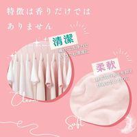 arFUM Amore アフュ―ム アモーレ ボール型洗濯洗剤 詰め替え 1セット（100粒入×3個） 王子製薬