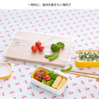 【並行輸入品】岩谷マテリアル なんでもシートミニ アイラップ 1セット（1個（70枚入）×10） NNDM-SM