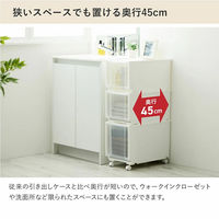 収納ケ-ス コンビネ-ションケ-ス ミドルS 3918 幅39×奥行44.7×高さ18.3cm クリアホワイト 470559 1個（直送品）