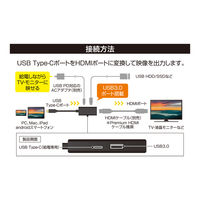 ナカバヤシ TypeーC ー HDMI/USB A 変換アダプタ 4K60Hz/PD給電対応 USA-PHA1 1個