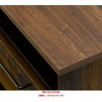 【軒先渡し】朝日木材加工 インダスタ ローボード 幅1150×奥行390×高さ386mm ブラウン IDM-4012AV-2H 1台（直送品）