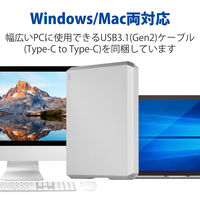 LaCie Mobile Drive 4TB Type-C STHG4000400 1個