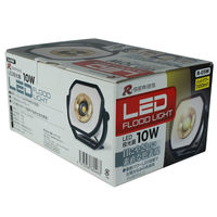 長輝LITETEC LED投光器 AC式防水10W R-05