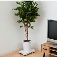 【平台車】 YAMAZEN スマートフロア NST-50(WH) 1台