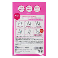 初田製作所 もしもの時のさわやかトイレ ローズの香り 095142 1個