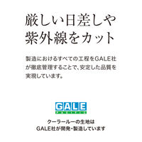 タカショー クールサマーオーニング 自立式3000 モカ CSA-S30M3（直送品）