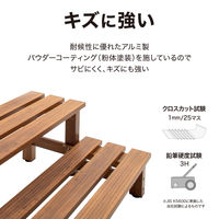 タカショー 美WOODデッキ 2段ステップ ナチュラルウッド BEW-2SNW 1台