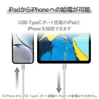 エレコム USB C-Lightningケーブル/準高耐久/2.0m/シルバー MPA-CLPS20SV 1個（直送品）