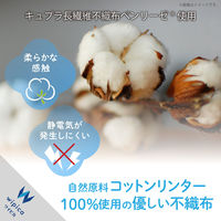 エレコム ウェットティッシュ/除菌/ハンディ/15枚 WC-AG15PN 1個