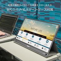ASUS 15.6インチモバイルモニター MB16AHP バッテリー内蔵 テレワーク 在宅 リモート（直送品）