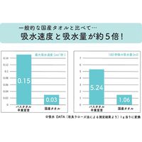 おぼろタオル OBORO バスタオル卒業宣言 エメラルドグリーン 219113 1個