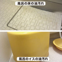 復活洗浄剤 ビニール・プラスチック用 2L #00017660041020 カンペハピオ（直送品）