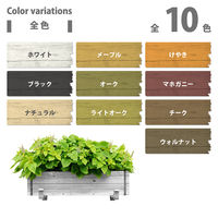 ヌーロステイン メープル 30ML #00287653692030 カンペハピオ（直送品）