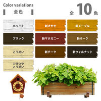 カンペハピオ 水性ウレタン着色ニス ホワイト 100ML #00707654012100 1個