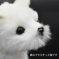 【ぬいぐるみ】HANSA ハンサ 6831 ホッキョクギツネ（仔）6831（直送品）