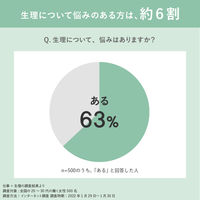 【生理用品】 ナプキン 多い昼～普通の日用 羽つき 20.5cm ロリエ スリムガード 1セット（1パック（28枚入）×16）花王