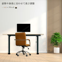 【軒先渡し】アスカ電動昇降デスク メモリー付 1200mm 黒×木目EDK12BK1台（直送品）