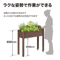 タカショー ベジテラストロリープランター キャスター付 ブラウン WSP-06B 1台