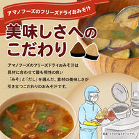 アマノフーズ いつものおみそ汁贅沢 焼なす 1箱（10食入） アサヒグループ食品