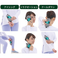 氷点下パック・クールスマイル（ダブル） 81336790 1個 LOGOS/ロゴス