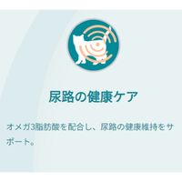 ピュリナワン 猫 F.L.U.T.H.ケア チキン 2kg 6袋 ネスレ日本 キャットフード ネスレ日本