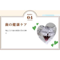 モンプチ クリスピーキッス グレイビーソースかけ お魚＆チキンセレクト 30g 12袋 キャットフード おやつ