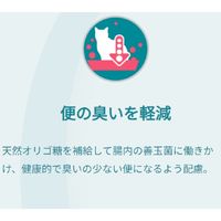 ピュリナワン 猫 室内飼い猫用 1歳以上 サーモン&ツナ 2kg 3袋 キャットフード ネスレ日本