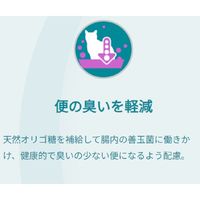 ピュリナワン 猫 室内飼い猫用 1歳以上 チキン 2kg 3袋 キャットフード ネスレ日本