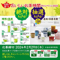 【水出し可】伊藤園 おーいお茶 プレミアムティーバッグ 一番茶入りほうじ茶 1箱（50バッグ入）（わけあり品）