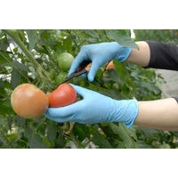 【使いきりニトリル手袋】ショーワグローブ No.8810 ニトリスト・ニューフィット SS 1箱（100枚入）