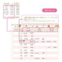 クローズ・ピン たけいみき 簡単家計簿 フローラの目覚め HB15723 1セット(3冊)（直送品）