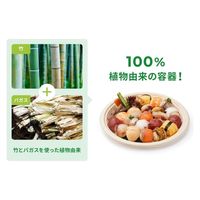 パックスタイル バガス容器 新BB楕円プレート 250-190 00709947 1セット(1袋(50枚)×10)