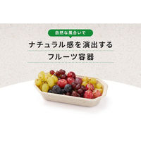 パックスタイル バガス容器 WBフルーツ 4L 4589443403266 1袋(50個)（直送品）