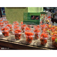 パックスタイル 青果・農産容器 CSミニトマト 150 00588963 1袋(100個)