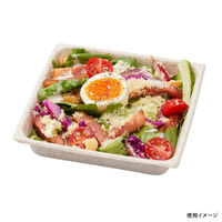 パックスタイル バガス容器 WB 14-14 604002 1袋(50個)（直送品）